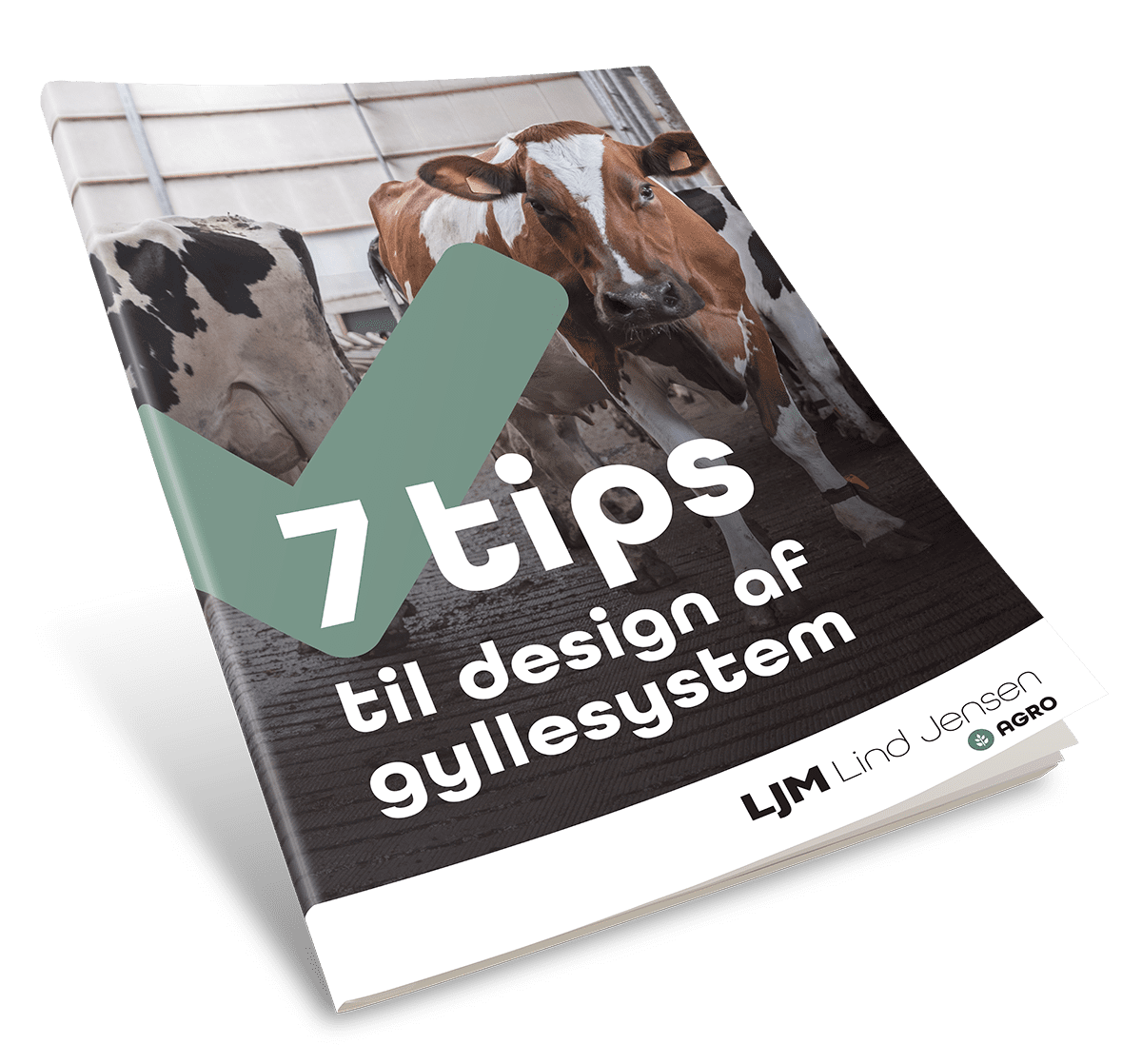 cover_ljm